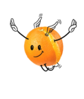 Bio-Orangen von NATURGUT für 1,79 € bei Penny-Markt im Angebot Bio-Orangen von NATURGUT im aktuellen Penny-Markt Prospekt