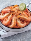 Intermarché Contact Les Pennes-Mirabeau - Promo Crevettes cuites Promo Crevettes cuites à 7,59 € dans le catalogue Intermarché Contact à Les Pennes-Mirabeau
