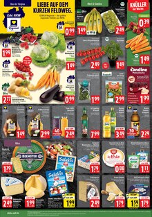 Pflanzen im aktuellen EDEKA Prospekt (Mönchengladbach) Pflanzen im EDEKA Prospekt "Aktuelle Angebote" mit 8 Seiten (Mönchengladbach)