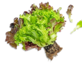 Dtsch. Multicolor-Salat für 0,99 € bei Kaufland im Angebot Dtsch. Multicolor-Salat im aktuellen Kaufland Prospekt