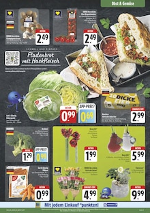 Zimmerpflanzen im aktuellen E center Prospekt (Nürnberg) Zimmerpflanzen im E center Prospekt "Wir lieben Lebensmittel!" mit 29 Seiten (Nürnberg)