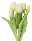 Tulpenstrauß im Angebot bei Rusta in Jena Tulpenstrauß Angebote bei Rusta Jena für 2,99 €