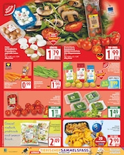 Braun Angebote im Prospekt "Aktuelle Angebote" von EDEKA Braun Angebote im Prospekt "Aktuelle Angebote" von EDEKA auf Seite 2