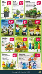 Gartendeko Angebot im aktuellen Netto mit dem Scottie Prospekt auf Seite 23