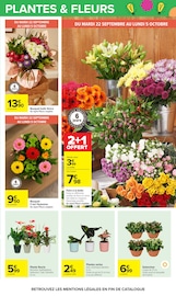 Promos Plante Verte dans le catalogue "LE MOIS MONOPOLY" de Carrefour Plante Verte en promo dans le catalogue Carrefour à la page 65