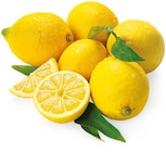 Bio Zitronen Angebote von REWE Bio bei REWE Darmstadt für 1,11 €