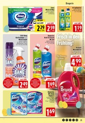 WC im EDEKA Prospekt in Rheine Aktueller EDEKA Prospekt mit WC, "Aktuelle Angebote", Seite 25