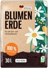 Blumenerde im Angebot bei Penny in Falkensee Blumenerde Angebote bei Penny Falkensee für 2,99 €