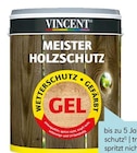 Meister Holzschutz von Vincent im aktuellen Hellweg Prospekt