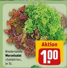 Wurzelsalat Salattrio im aktuellen REWE Prospekt