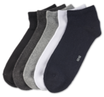 Aktuelle Kleidung Angebote bei Penny in Dresden Aktuelles Arbeitssneakersocken Angebot bei Penny in Dresden ab 5,99 €