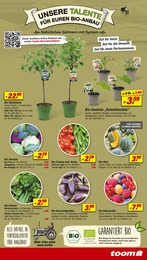 Bio Gemüse Angebot im aktuellen toom Baumarkt Prospekt auf Seite 17