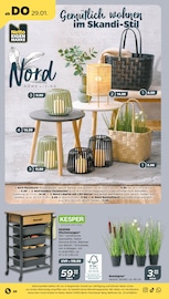 Tisch im Netto mit dem Scottie Prospekt in Neubrandenburg Aktueller Netto mit dem Scottie Prospekt mit Tisch, "Günstig. Besser. Für Dich.", Seite 22