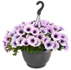 Hagebaumarkt Hamburg Prospekt mit  im Angebot für 9,99 €