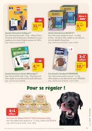 Prix et réduction Sticker dans le prospectus Maxi Zoo en cours Offre Sticker dans le catalogue Maxi Zoo du moment à la page 11