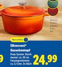 Gusseisentopf Angebote von Silvercrest bei Lidl Peine für 24,99 €