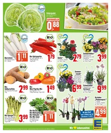 EDEKA Pflanzen im Prospekt EDEKA Pflanzen im Prospekt