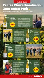 Aktueller Penny Prospekt mit Bratpfanne, "Wer günstig will, muss Penny.", Seite 31