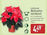 Weihnachtssternbusch im Angebot bei ALDI Nord in Gladbeck Weihnachtssternbusch Angebote von Gardenline bei ALDI Nord Gladbeck für 4,49 €