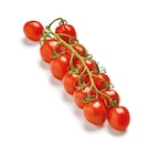 Mini-Pflaumenrispentomaten im aktuellen Netto mit dem Scottie Prospekt