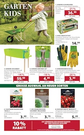 Aktueller Dehner Garten-Center Prospekt mit Handschuhe, "Aktuelle Angebote", Seite 11