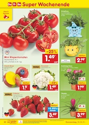 Erdbeeren im Netto Marken-Discount Prospekt in Hameln Aktueller Netto Marken-Discount Prospekt mit Erdbeeren, "Aktuelle Angebote", Seite 44