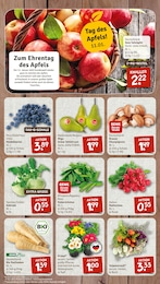 Blumen Angebot & Preis im aktuellen nahkauf Prospekt Blumen Angebot im aktuellen nahkauf Prospekt auf Seite 3