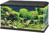 Maxi Zoo Cornebarrieu - Promo Aquarium Led Promo Aquarium Led à 59,99 € dans le catalogue Maxi Zoo à Cornebarrieu