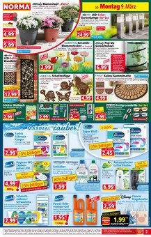 Teppichboden im Norma Prospekt "Mehr fürs Geld" mit 18 Seiten (Heidelberg)