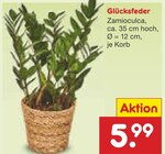 Glücksfeder im Angebot bei Netto Marken-Discount in Moers Glücksfeder Angebote bei Netto Marken-Discount Moers für 5,99 €