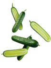 Bio Gurken, lose Angebote bei Lidl Schwerte für 0,59 €