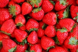 Norma Eckbolsheim - Promo Fraises Promo Fraises à 1,99 € dans le catalogue Norma à Eckbolsheim
