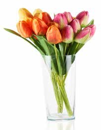 KODi Hattingen - Tulpenstrauss oder Glasvase Donna Tulpenstrauss oder Glasvase Donna Angebot bei KODi Hattingen im Prospekt "Verrückte Preise "