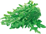 Aktuelle Salat Angebote bei REWE in Frankfurt (Main) Aktuelles Bio Rucola Angebot bei REWE in Frankfurt (Main) ab 0,99 €