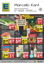 Aktueller EDEKA Supermarkt Prospekt in Hattingen und Umgebung, "Aktuelle Angebote" mit 26 Seiten, 09.02.2026 - 14.02.2026