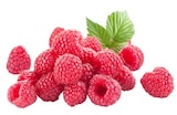 Himbeeren im Angebot bei REWE in Dessau-Roßlau Himbeeren Angebote bei REWE Dessau-Roßlau für 3,79 €