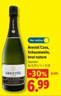 Cava, Schaumwein, brut nature bei Lidl im Prospekt "" für 6,99 €