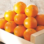 Promo Mandarine à 2,49 € dans le catalogue Intermarché Super à Jarny
