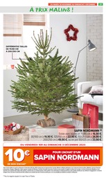 Offre Sapin Nordmann dans le catalogue Carrefour Market du moment à la page 23