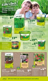Rasenerde Angebot im aktuellen Pflanzen Kölle Prospekt auf Seite 8