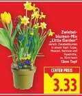 Zwiebelblumen-Mix 'Little Garden' Angebote bei E center Falkensee für 3,33 €