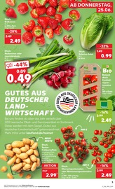 Erdbeeren im Kaufland Prospekt in Recklinghausen Aktueller Kaufland Prospekt mit Erdbeeren, "Hier bin ich richtig", Seite 12