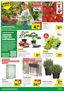 Tomaten im Hagebaumarkt Prospekt "So günstig geht das!" mit 16 Seiten (Freiburg (Breisgau))