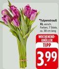 Tulpenstrauß XL Angebote bei EDEKA Pforzheim für 3,99 €