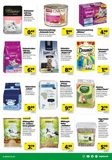 Katzenstreu im Hagebaumarkt Prospekt "SO günstig geht das!" mit 20 Seiten (Mainz)