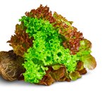 Deutsche bunte Salate mit Wurzel bei Penny im Frankenberg Prospekt für 1,00 €