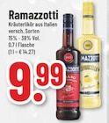 Ramazzotti im Angebot bei Trinkgut in Hagen Ramazzotti Angebote von Ramazzotti bei Trinkgut Hagen für 9,99 €