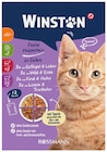 Katze Feine Häppchen im Angebot bei Rossmann in Lingen Katze Feine Häppchen Angebote von Winston bei Rossmann Lingen für 2,59 €