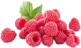 nahkauf Roßhaupten - Himbeeren Angebot im Prospekt Himbeeren bei nahkauf im Roßhaupten Prospekt für 3,79 €