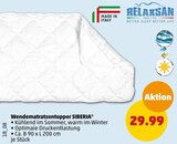 Wendematratzentopper SIBERIA Angebote von Relaxsan bei Penny-Markt Remscheid für 29,99 €
